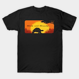 Slow and Steady Turtle T-Shirt